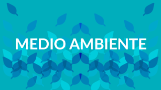 Medio Ambiente