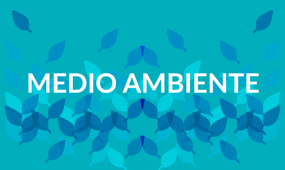 Medio Ambiente