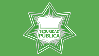 Seguridad Pública